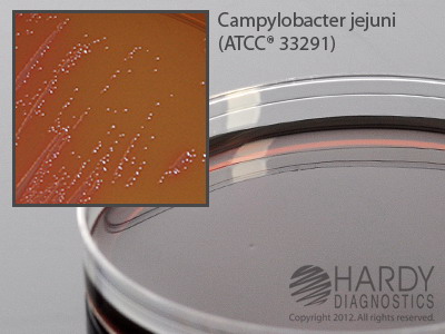 Campy Cefex Agar
