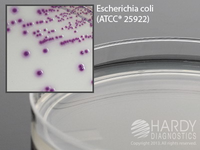 HardyCHROM� Coliform EC