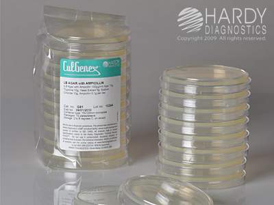 LB Agar <b>(MINIMUM ORDER: 10 packs)