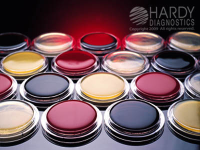 Middlebrook 7H11 Agar