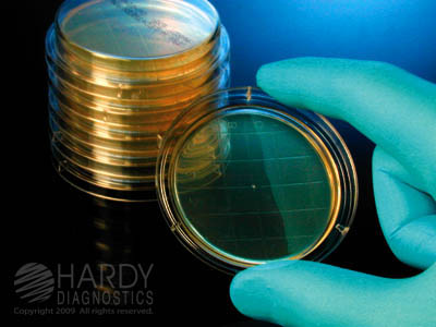 Sabdex With Lecithin & Tween 80 Triple Bagged & Irradiated