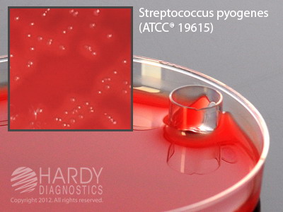 StrePlate™, Selective Strep Agar Plate