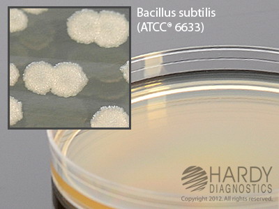 TSA With Lecithin & Tween