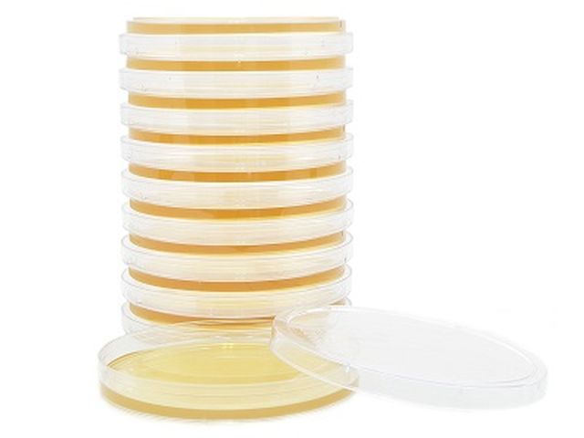 TSA with Lecithin and Tween 80