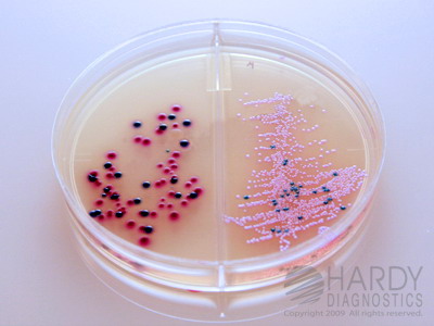 HardyCHROM� Urine Biplate (HUrBi�)