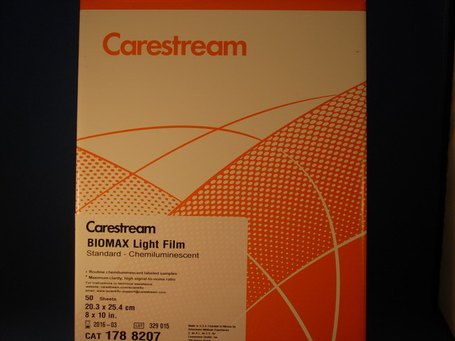 Carestream KodakBioMax* Light Autoradiography Film