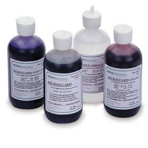 Stabilized Iodine Gram Stain Kit