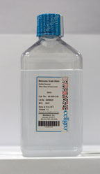 Molecular Grade, Sterile, Water