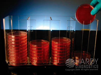 Petri Plate Dispenser